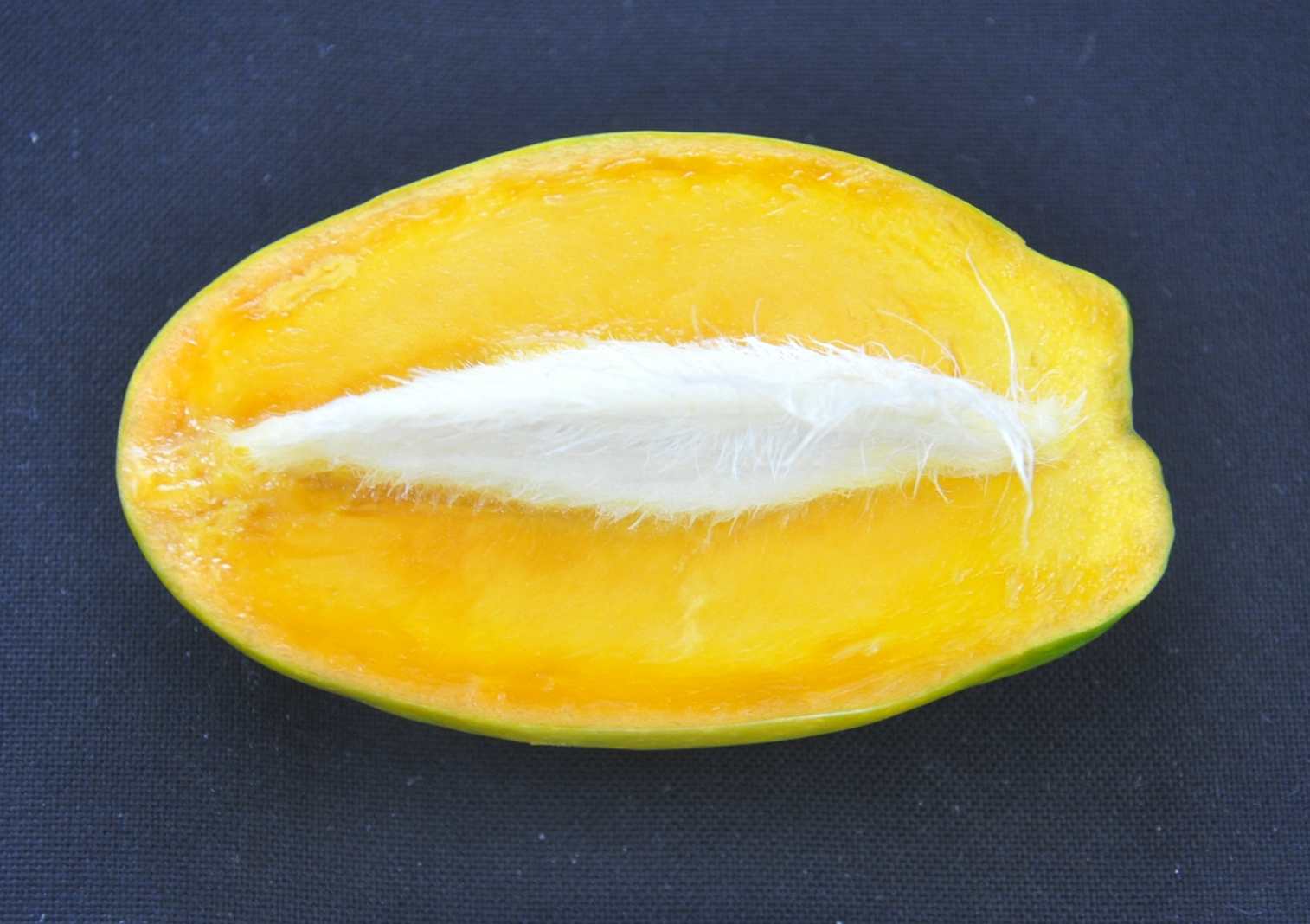 Benazir Sandilla